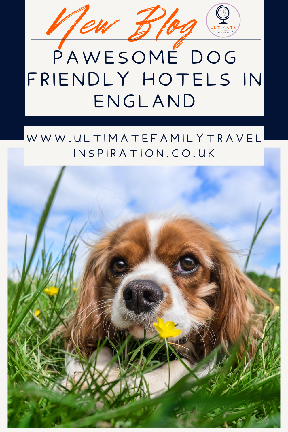 5 Pawesome Dog friendly hotels to choose in England