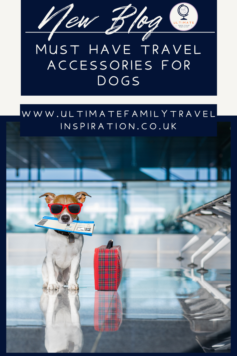 7 Must Have Travel Accessories For Dogs