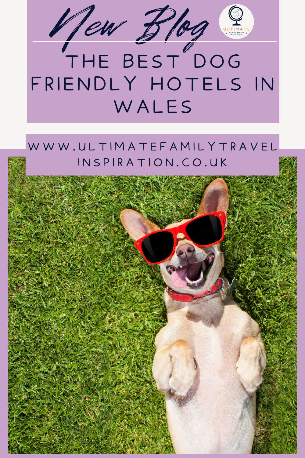 The Best Dog friendly hotels in Wales