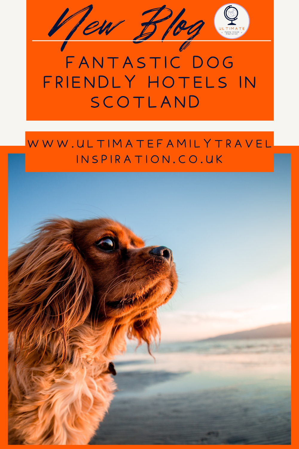 Fantastic Dog friendly hotels to choose in Scotland